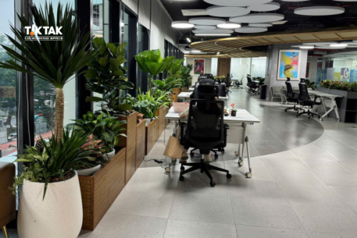 Không gian xanh tại TikTak Coworking Space